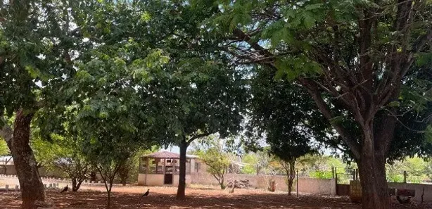 Fazenda / Sítio / Chácara com 4 Quartos à venda, 20000m² no Núcleo Rural Lago Oeste, Brasília