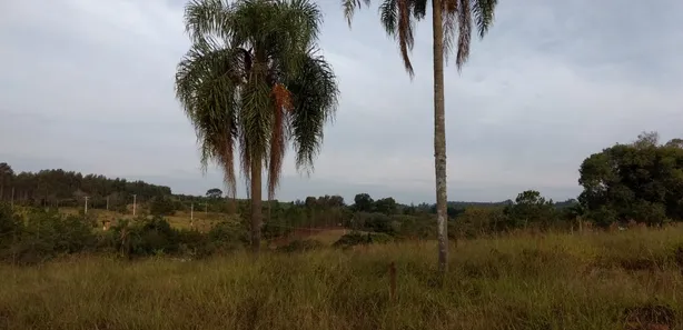 Fazenda / Sítio / Chácara com 3 Quartos à venda, 70m² no , Pilar do Sul