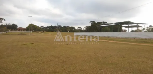 Terreno / Lote / Condomínio para alugar, 5000m² no Ipê, São José dos Pinhais