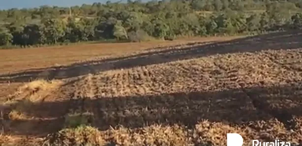 Fazenda / Sítio / Chácara à venda, 359m² no , Santa Maria do Tocantins