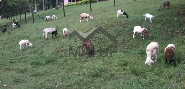 Fazenda / Sítio / Chácara com 4 Quartos à venda, 33000m² no Área Rural de Saltinho, Saltinho