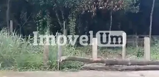 Terreno / Lote / Condomínio à venda, 36000m² no Sitio Retiro Feliz, Belford Roxo