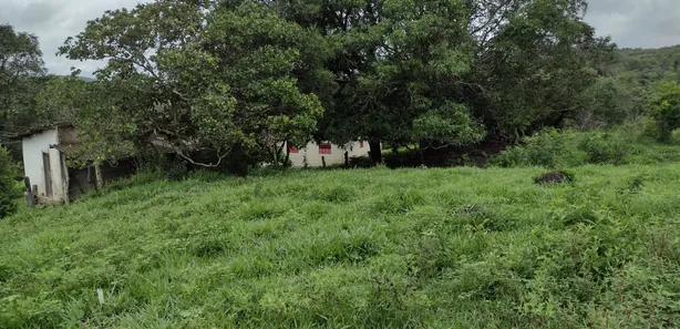 Terreno / Lote / Condomínio à venda, 20000m² no , Fortuna de Minas