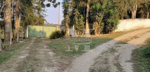 Fazenda / Sítio / Chácara com 3 Quartos à venda, 14984m² no , Fazenda Rio Grande