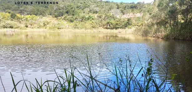 Terreno / Lote / Condomínio à venda, 20000m² no Caeté, Caeté