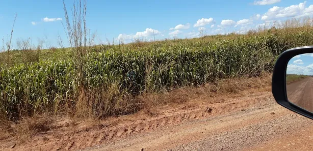 com 3 Quartos à venda, 580m² no , Santa Maria do Tocantins