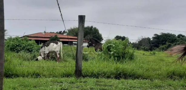 Fazenda / Sítio / Chácara com 3 Quartos à venda, 463m² no Centro (Tupi), Piracicaba
