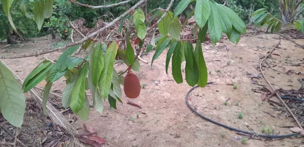 Imagem do imóvel