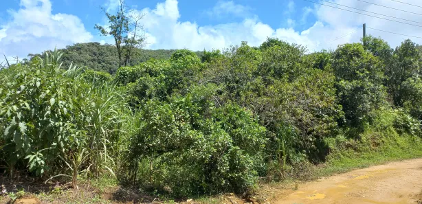Terreno / Lote / Condomínio à venda, 3780m² no , Águas Mornas