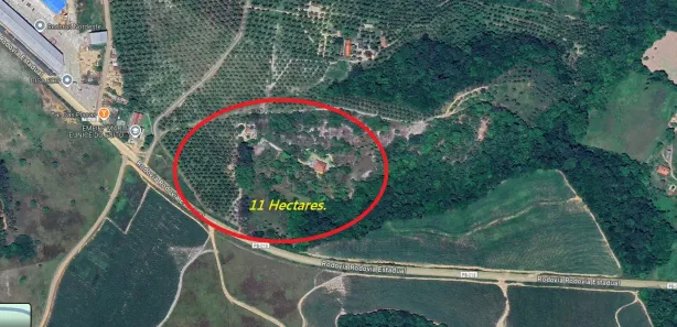 Fazenda / Sítio / Chácara à venda, 11000m² no Conde, Conde