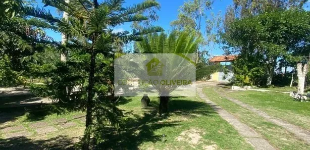 Fazenda / Sítio / Chácara com 3 Quartos à venda, 250m² no , Sairé