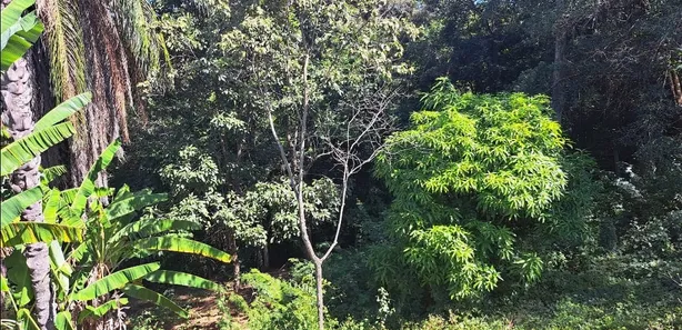 Terreno / Lote / Condomínio à venda, 1000m² no , Jaboticatubas