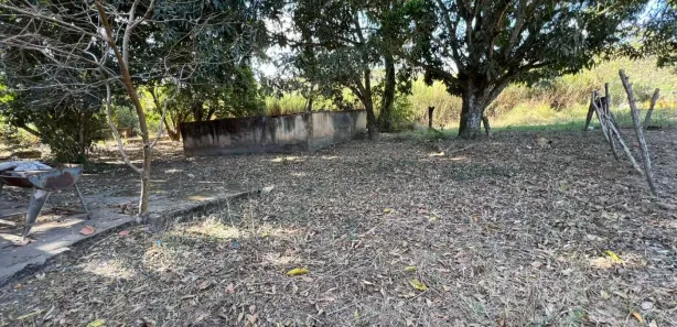 Fazenda / Sítio / Chácara com 5 Quartos à venda, 10000m² no Núcleo Residencial Brasília, Novo Gama