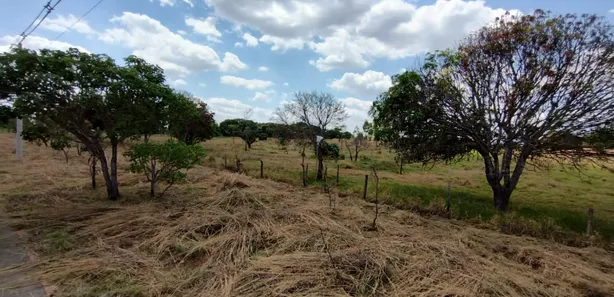 Fazenda / Sítio / Chácara à venda, 20000m² no Núcleo Rural Lago Oeste, Brasília