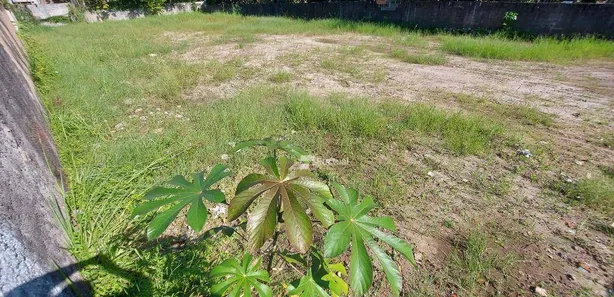 Terreno / Lote / Condomínio à venda, 1050m² no Balneário Praia do Pernambuco, Guarujá