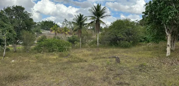 Fazenda / Sítio / Chácara com 4 Quartos à venda, 4981m² no Área Rural de Gravatá, Gravatá