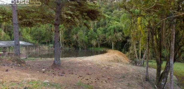 Fazenda / Sítio / Chácara com 1 Quarto à venda, 350m² no Palmitalzinho, Quatro Barras