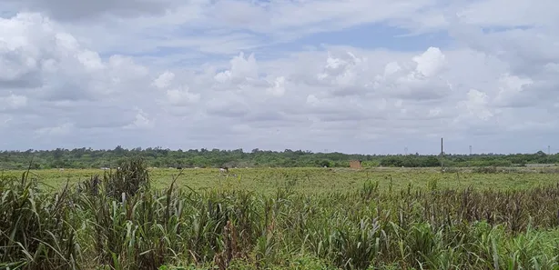 Fazenda / Sítio / Chácara com 3 Quartos à venda, 16000m² no , Vera Cruz