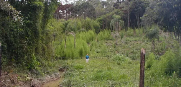 Terreno / Lote Comercial à venda, 67000m² no Aldeinha, Itapecerica da Serra