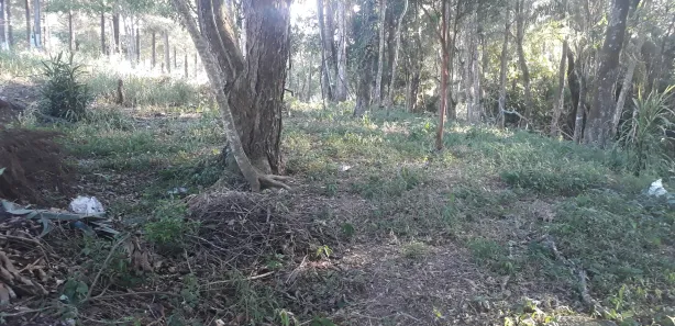 Terreno / Lote / Condomínio à venda, 1000m² no Ortizes, Piedade