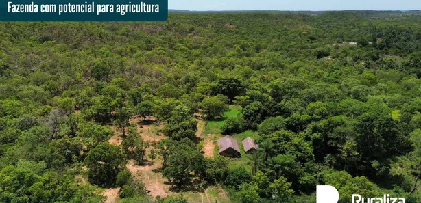 Fazenda / Sítio / Chácara à venda, 290m² no , Ponte Alta do Tocantins