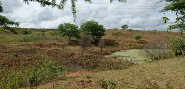 Fazenda / Sítio / Chácara com 5 Quartos à venda, 360000m² no , Passira