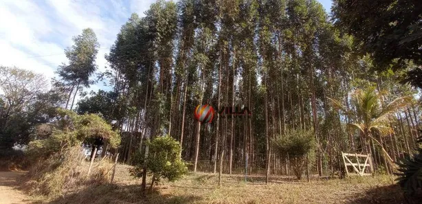 Terreno / Lote / Condomínio à venda, 46000m² no Jardim Residencial Campo Novo, Limeira