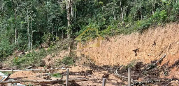 Terreno / Lote / Condomínio à venda, 20000m² no Quatro Barras, Quatro Barras