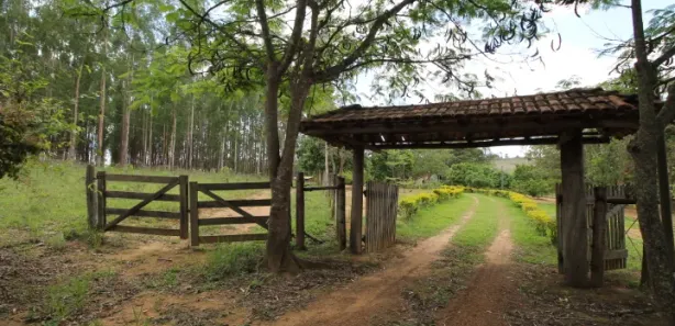 Fazenda / Sítio / Chácara à venda, 450000m² no Brazlândia, Brasília