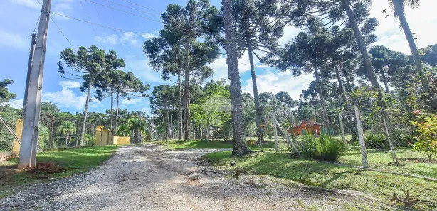 Fazenda / Sítio / Chácara à venda, 10000m² no Timbu, Campina Grande do Sul