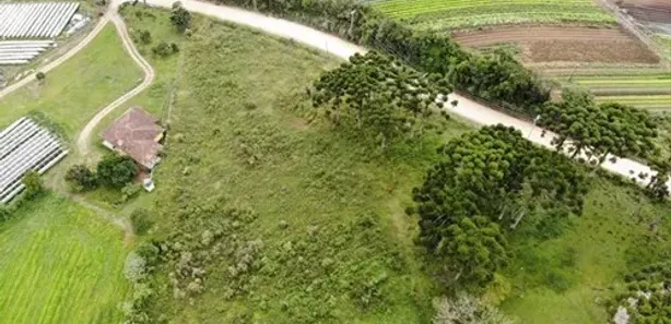 Fazenda / Sítio / Chácara com 3 Quartos à venda, 20000m² no Colônia Murici, São José dos Pinhais