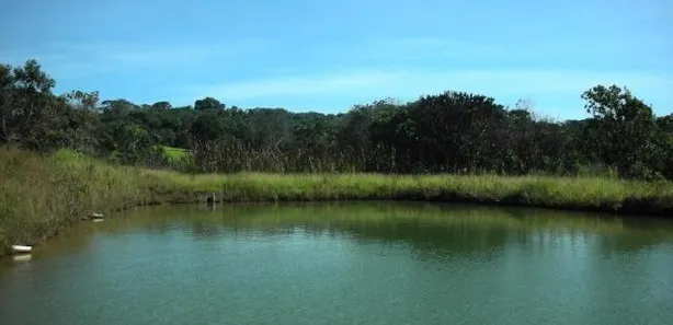 Fazenda / Sítio / Chácara com 3 Quartos à venda, 150000m² no Brazlândia, Brasília