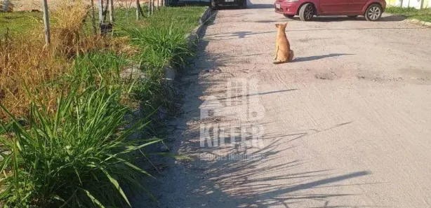 Terreno / Lote / Condomínio para alugar, 883m² no Jardim Atlântico Leste (Itaipuaçu), Maricá