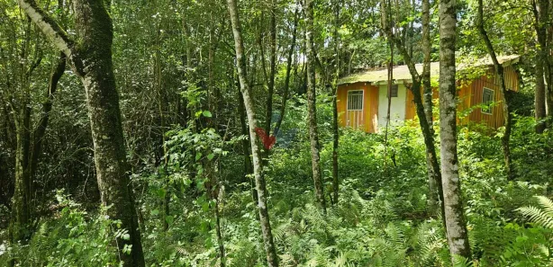 Fazenda / Sítio / Chácara com 1 Quarto à venda, 11000m² no São Miguel, Almirante Tamandaré