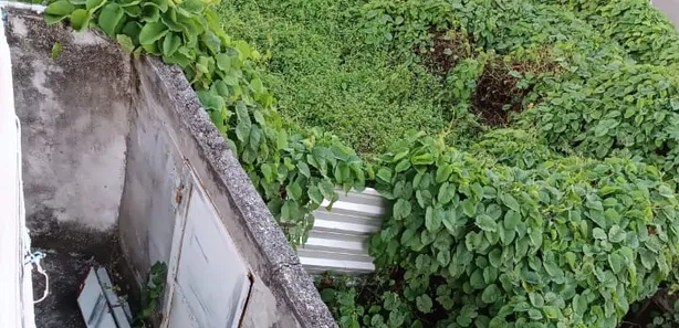 Terreno / Lote / Condomínio à venda, 4034m² no Caji, Lauro de Freitas