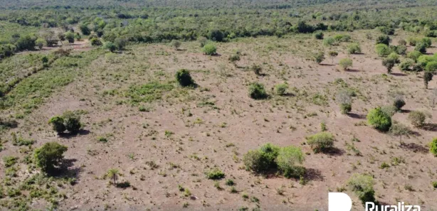 Fazenda / Sítio / Chácara à venda, 430m² no , Pium