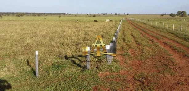 Fazenda / Sítio / Chácara com 1 Quarto à venda, 100m² no Centro, Campo Grande