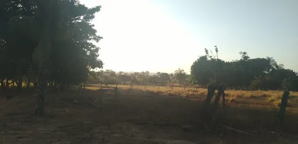 Fazenda / Sítio / Chácara com 3 Quartos à venda, 450000m² no Arapoanga, Brasília