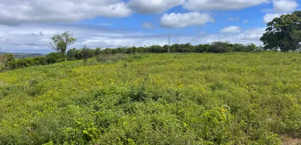 Fazenda / Sítio / Chácara à venda, 50000m² no Área Rural de Gravatá, Gravatá