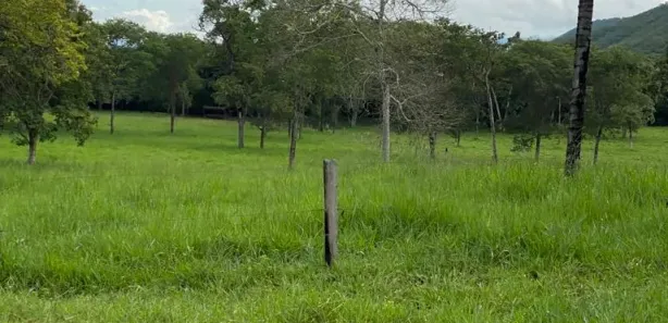 Fazenda / Sítio / Chácara com 1 Quarto à venda, 190000000m² no Bezerra, Formosa