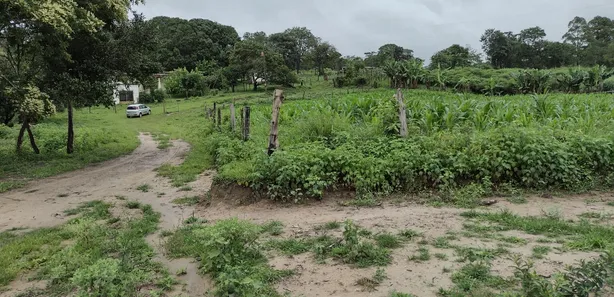 Terreno / Lote / Condomínio à venda, 20000m² no , Fortuna de Minas