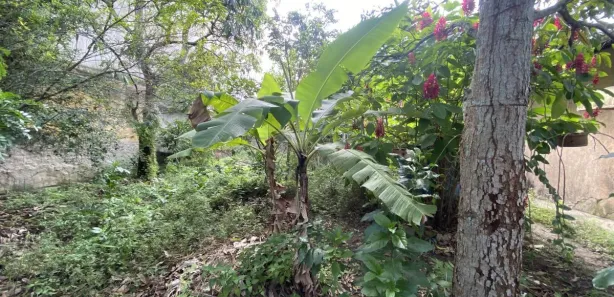 Loja / Salão / Ponto Comercial à venda, 600m² no Alto Branco, Campina Grande