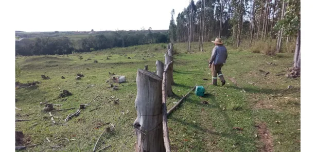 Fazenda / Sítio / Chácara com 1 Quarto à venda, 47m² no Vila Cesari Purgato, Mombuca