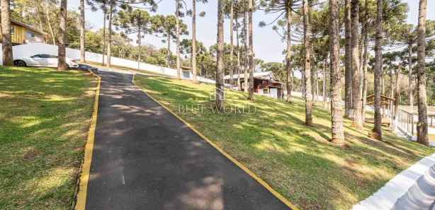 Fazenda / Sítio / Chácara à venda, 11734m² no Santa Gema, Colombo