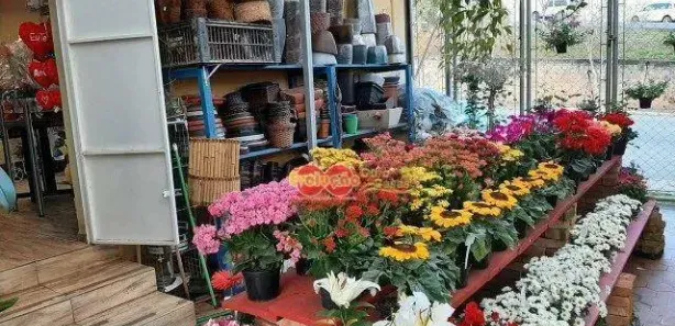Loja / Salão / Ponto Comercial à venda, 177m² no Vila Brasileira, Itatiba