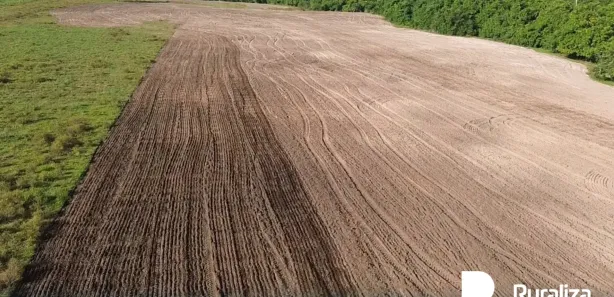 Fazenda / Sítio / Chácara à venda, 261m² no , Bernardo Sayão