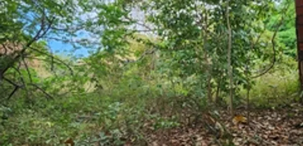 Terreno / Lote / Condomínio para alugar, 9800m² no Coaçu, Eusébio