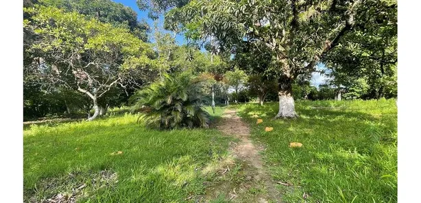 Fazenda / Sítio / Chácara com 4 Quartos à venda, 8900m² no , Marechal Deodoro
