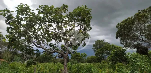 Terreno / Lote / Condomínio à venda, 3000m² no , Hidrolândia