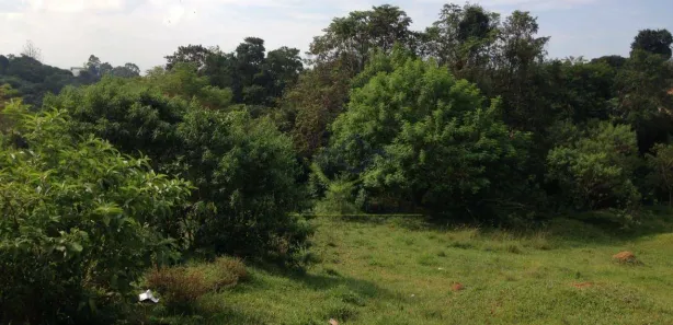 Terreno / Lote / Condomínio para venda ou aluguel, 6923m² no Jardim Alice, Ferraz de Vasconcelos